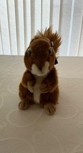 Living nature brown squirrel - nature,