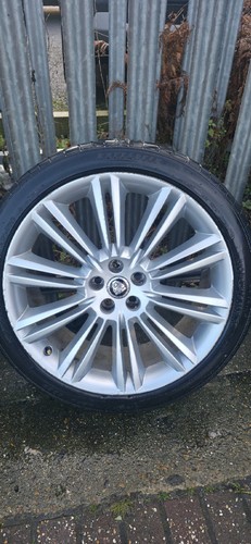 Kasuga jaguar alloys - 20",