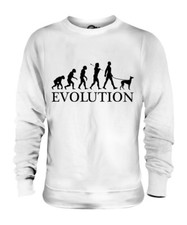 IBIZAN HOUND EVOLUTION OF MAN