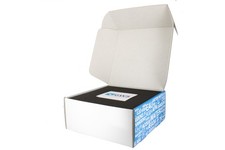 Kit di allaccio Co2 Swan per bombole ricaricabili