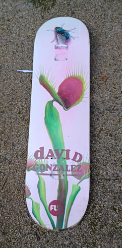 Flip david gonzalez flytrap - flip,