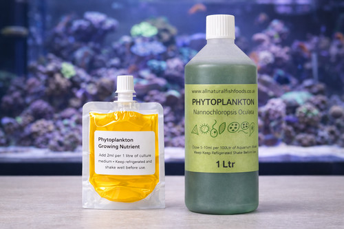Nannochloropsis oculata 1ltr - oculata, &