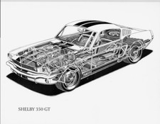 1965 FORD SHELBY 350 GT CUTAWAY Poster 24 X 24 Inch GT 350