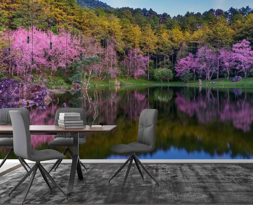 Cherry blossoms trees - blossoms,