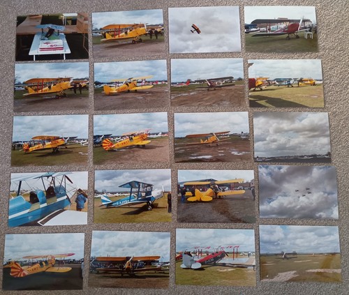 Tiger moth colour photos taken - colour,