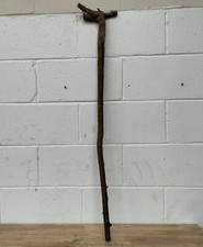 Blackthorn HUGE Rootball walking stick Shank Red