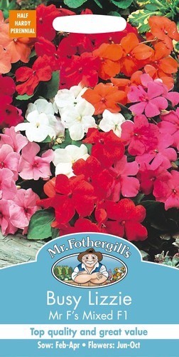 Fothergills flower busy - mr,