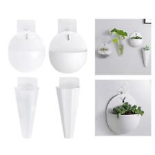 Wall Hanging Planters