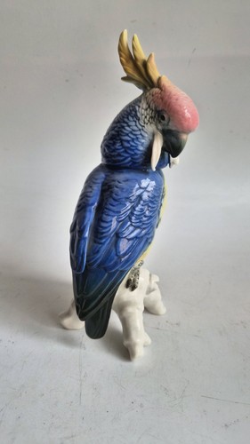 Rare karl ens cockatoo parrot - rare,