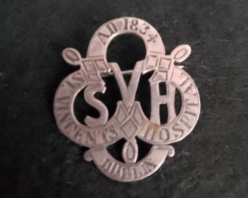 Vincents hospital dublin - st,