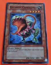 Gigantic Cephalotus - Common - Crossroads of Chaos - YGO