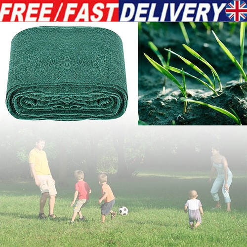 Grass seed mat - seed,