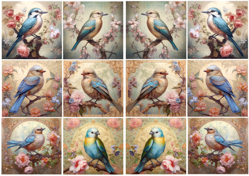 Vintage colourful birds 2 - colourful,