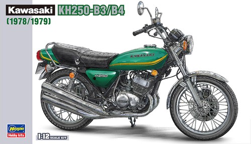 Hsgwa 21508 hasegawa 12 - hasegawa, 1/12