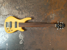 Infinity 6 String Fretless