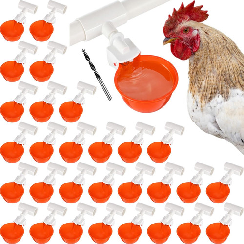 Set automatic chicken - 30,
