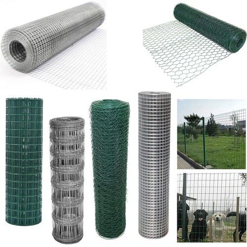 Chicken wire mesh - chicken, fence