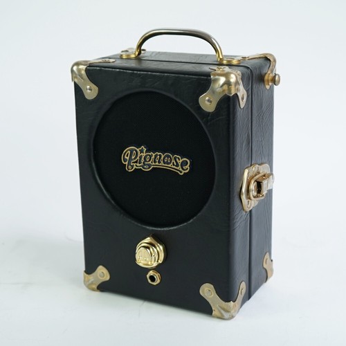Pignose 100 25th anniversary - pignose, 7-100