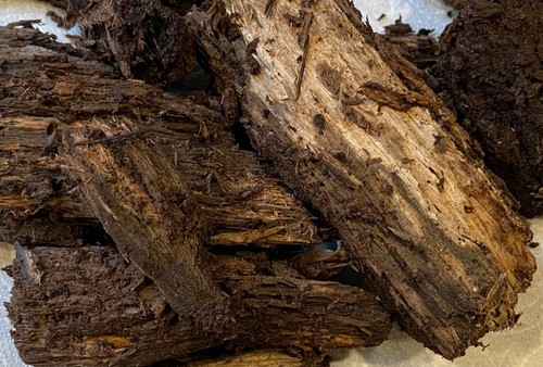Decayed hardwood for - hardwood,