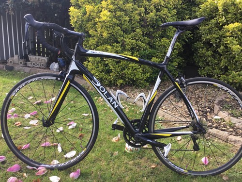 Dolan étape carbon road - carbon,