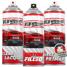 Aerosol Paint For Bmw
