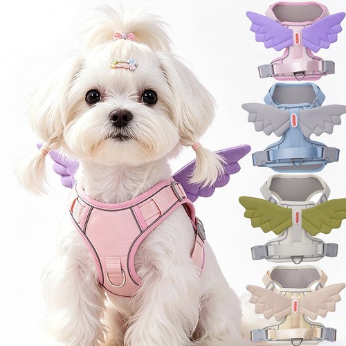 Dog harness angel wings pet - dog,