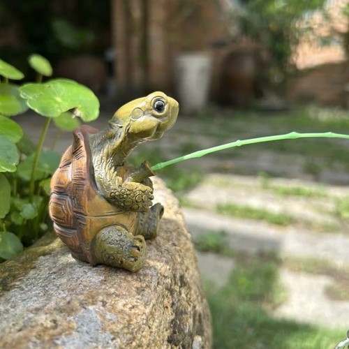 Turtle fishing fish tank - turtle,