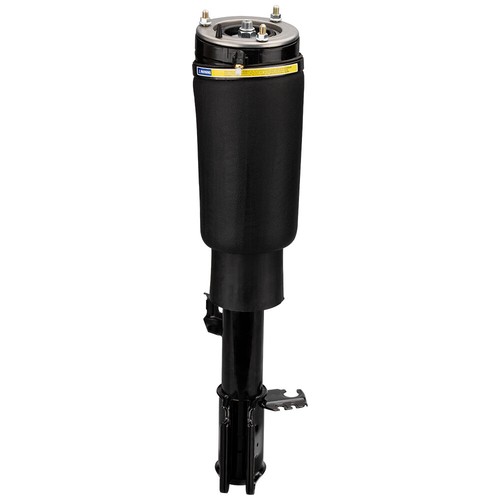 Air ride suspension strut - ride,
