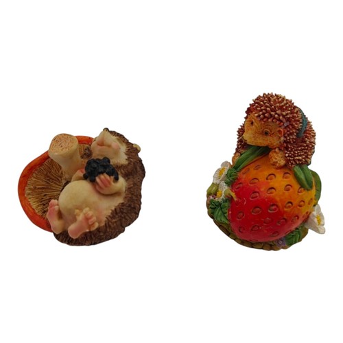 Hedgehog with mushroom - hedgehog,