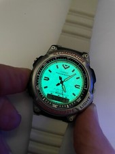 Vintage Casio AD-300 Arnie