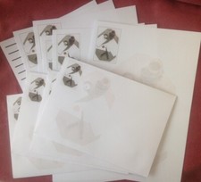 Fountain Pen or Quill theme