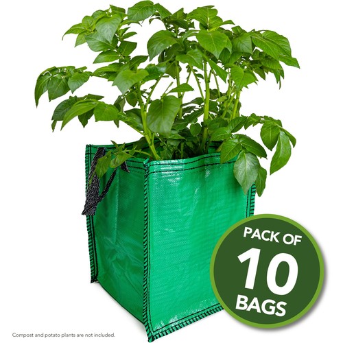 Potato planter grow bags - potato,