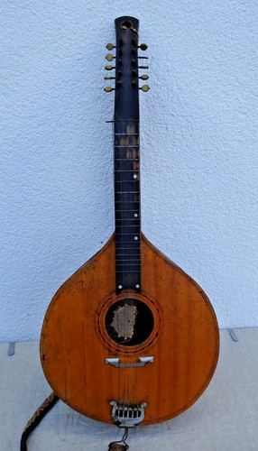Vintage forest zither cister - forest,