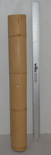 Bamboo poles reptiles craft - bamboo, reptiles,