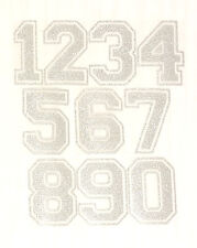 silver glitter varsity college