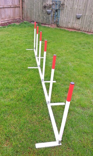 Dog agility 2x2 training - agility,