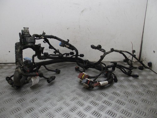 Peugeot expert engine wiring - engine,