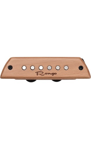 Acoustic guitar magnetic - rg-s3,