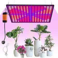 2000W LED Grow Light for