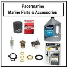 Mariner Outboard 100 hour