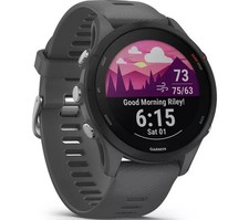 GARMIN Forerunner 255 Sports