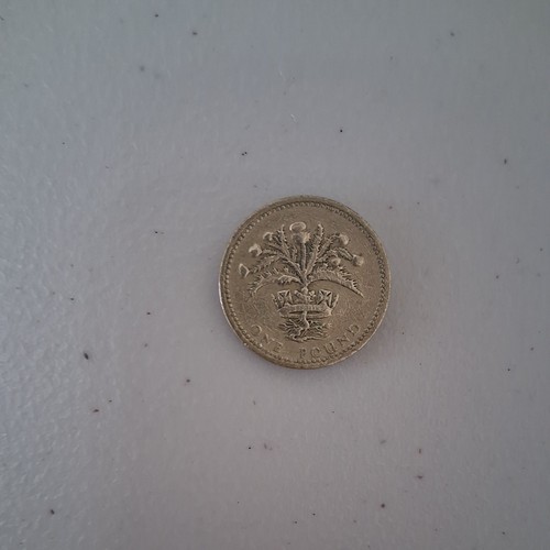 1984 tistle one pound coin - 1984,
