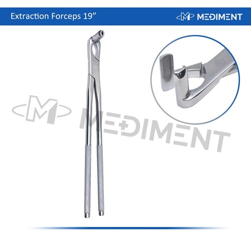 Equine dental long nose - long,