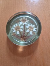 Sylvia Pepper Pressed Flower