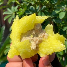 173G Beautiful Minerals ** LARGE NATIVE SULPHUR OnMATRIX Sicily- FREE