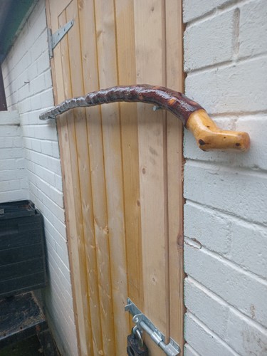 Irish blackthorn stick - blackthorn, 43