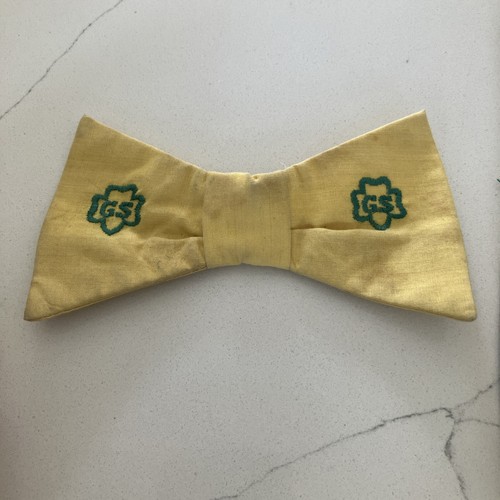 Vintage girl scout tie - scout,