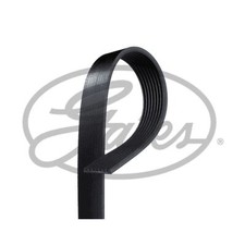 For Mercedes Vario 4.2 O814 Genuine Gates V-Ribbed Belt
