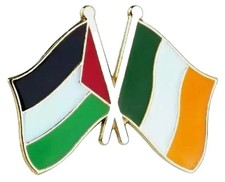Palestine Ireland Badge Flag Pin Enamel Irish Palestinian