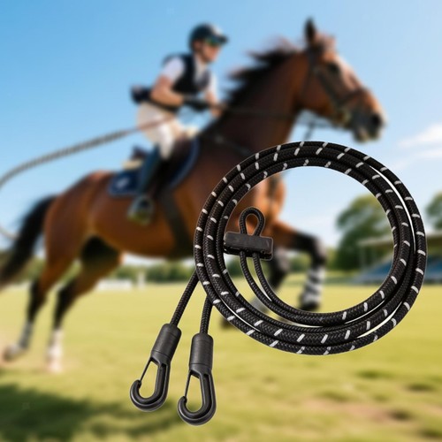 Horse rein - horse, aid